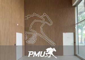 Visuel Silhouette Chevaux Pmu 3ds Groupe